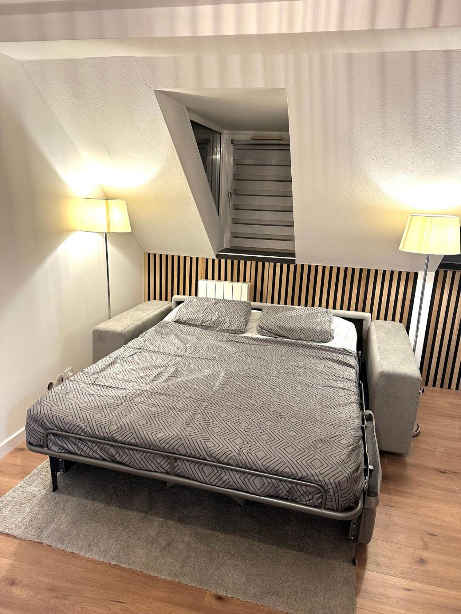 Moderne T2 Centre Sauna Wifi Home Office Netflix ストラスブール エクステリア 写真